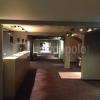 Venetian Plaster London Cinema